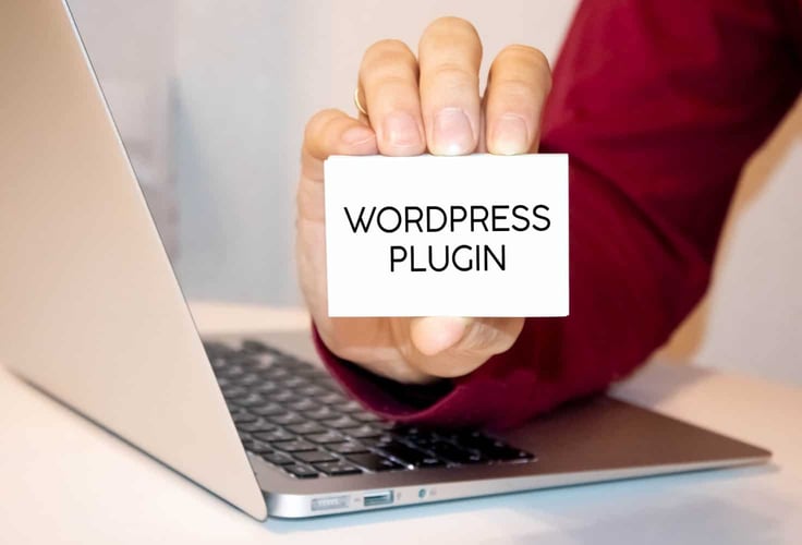 A man holding a placard that says "WordPress plugin"